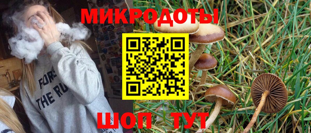 Дмитров  Галлюциногенные грибы Magic Shrooms  Вход с VPN  Псилоцибиновые грибы мицелий 